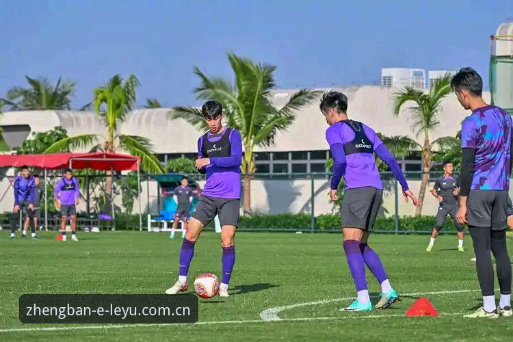 乐鱼体育平台全面评测：从下载到使用的完整体验报告